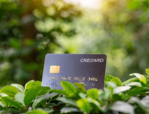 Nachhaltige Kreditkarten im Fokus: Die awa7® Visa Card – Umweltfreundlich und Gebührenfrei